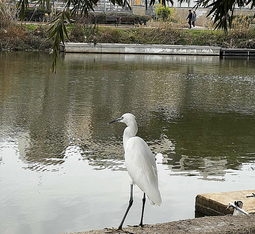 פארק ראש ציפור של קק”ל