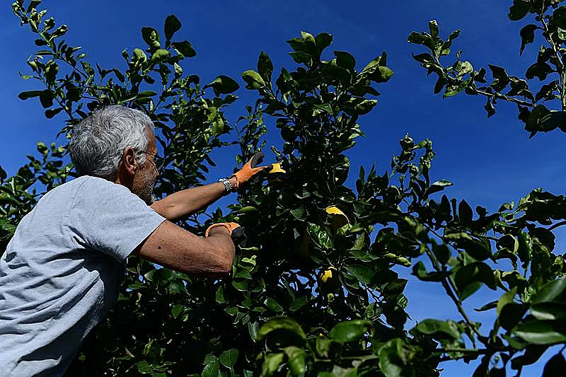 מתנדב בעוטף עזה