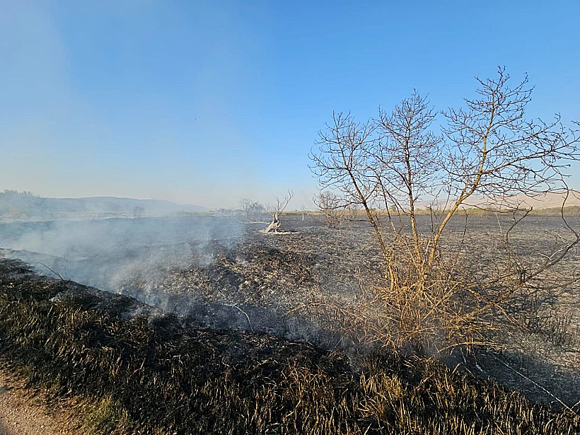 שריפות בעמק החולה לאחר נפילות