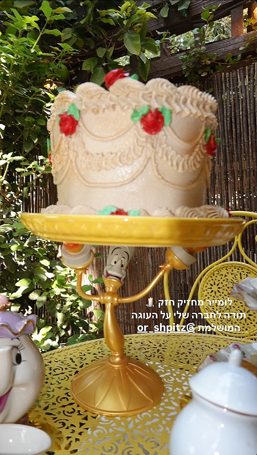 העוגה המושקעת