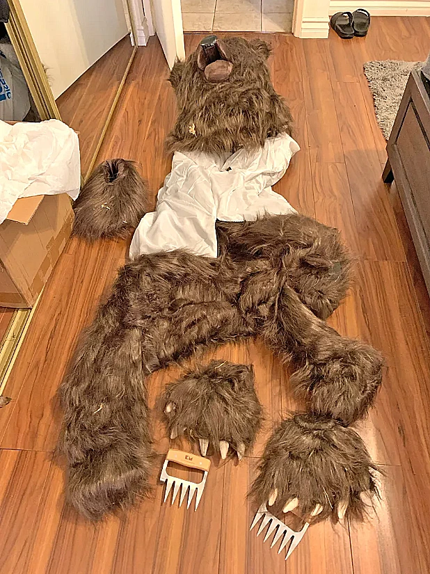 Ca Department Of Insurance