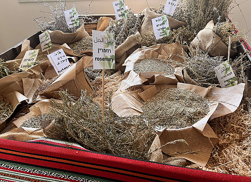 פרוייקט ואדי עתיר