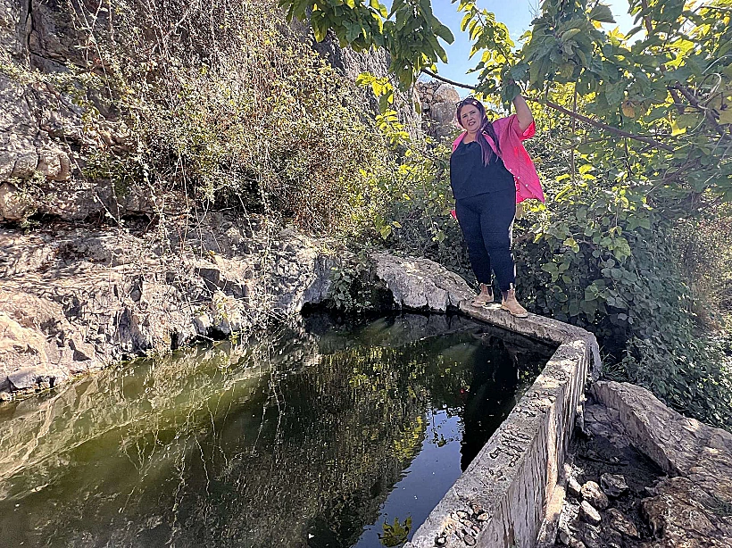 עיינות בוקר