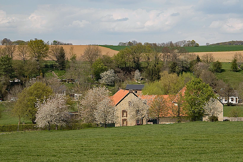 נוף אופייני לחבל לימבורג הולנד