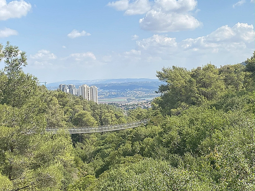 הגשרים התלויים בנחל קטיע