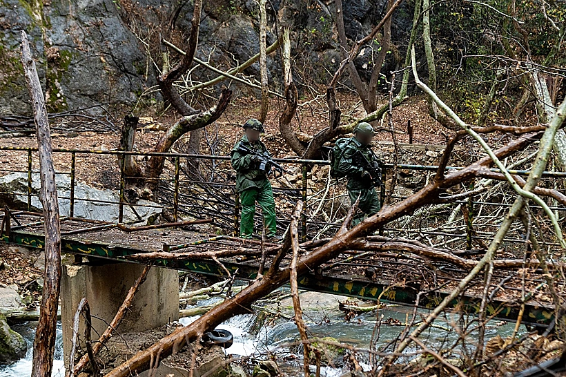 כוחות צוות הקרב החטיבתי אלכסנדרוני במרחב נהר הליטאני