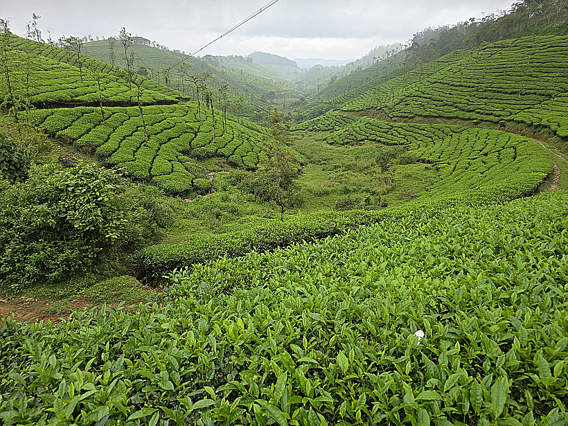 מונאר קרלה הודו
