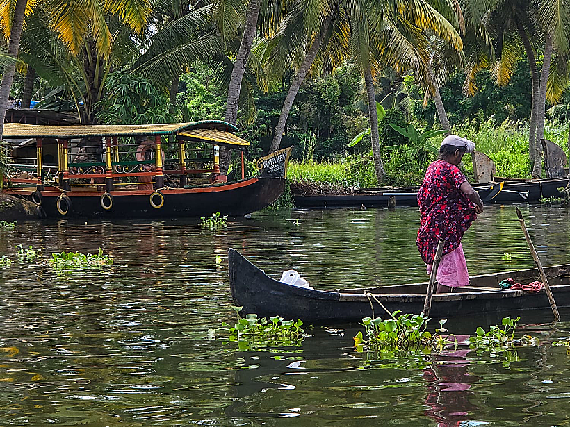 הבקוואטרס של קרלה