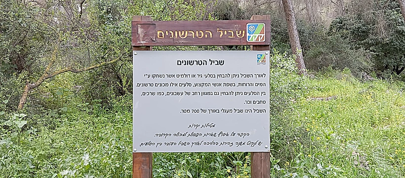 שביל הטרשונים ביער בית קשת