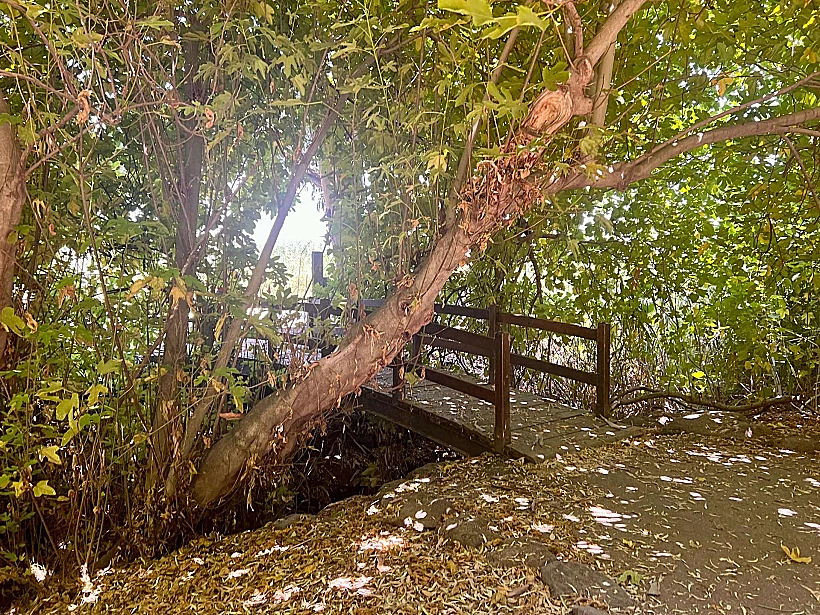 חניון הדרדרה, עמק החולה