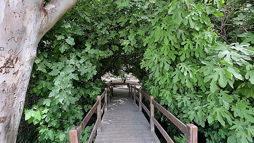 חניון הדרדרה, עמק החולה