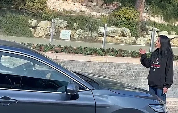 עינב צנגאוקר מחוץ לכנסת