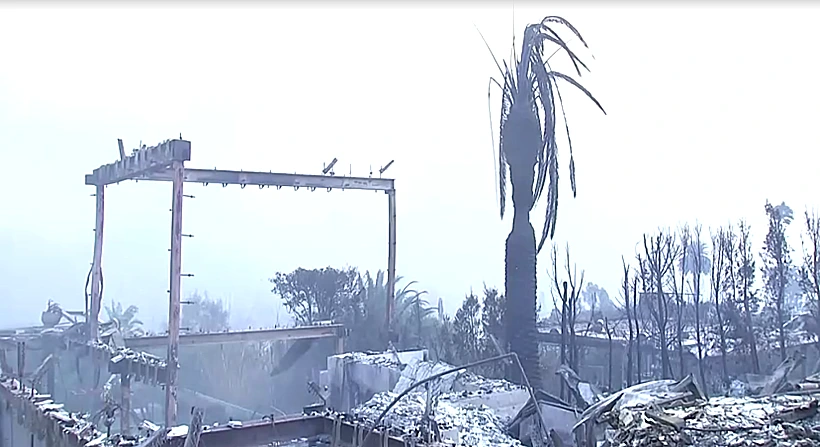 הבית של אדם ברודי ולייטון לייסטר