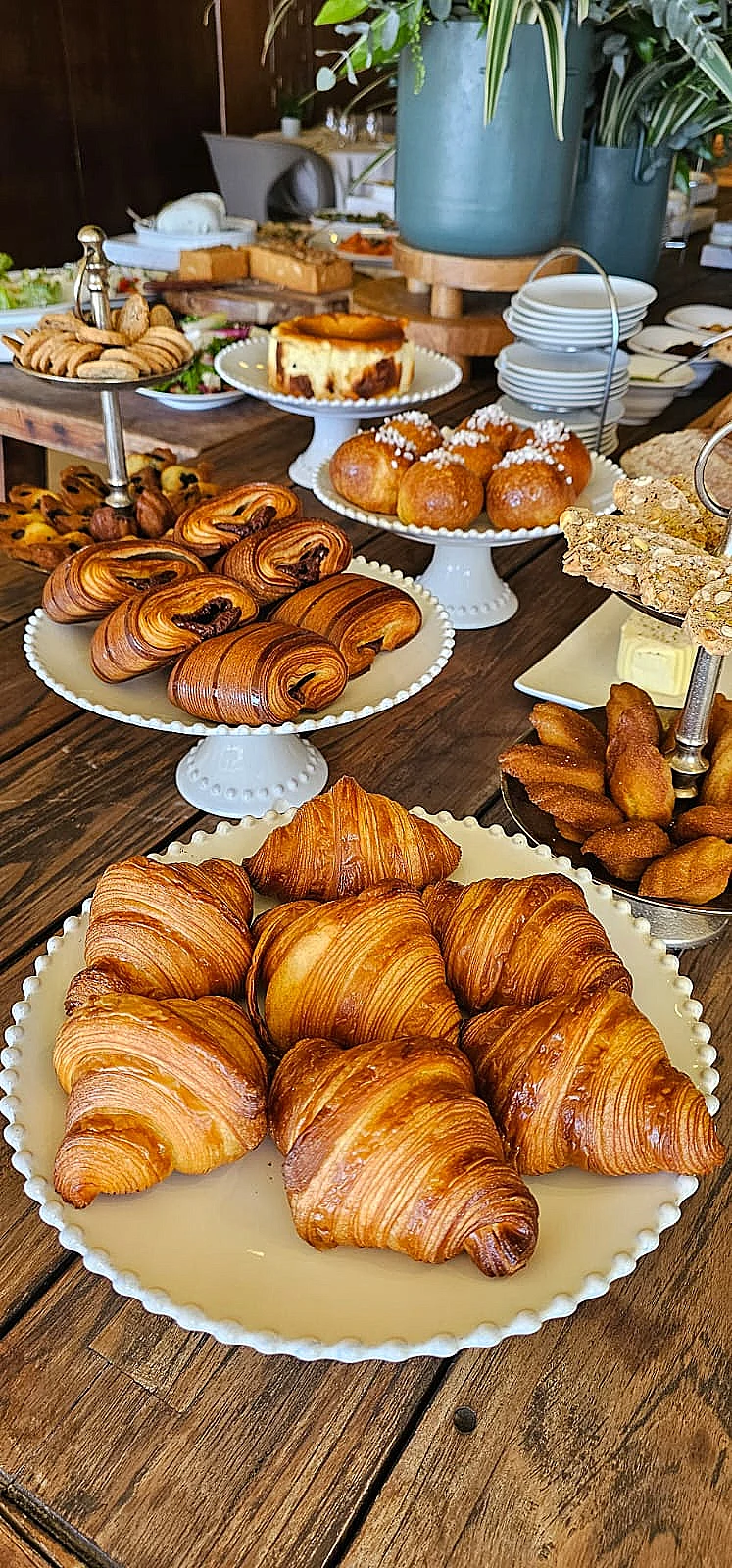 בראנץ', דן אכדיה ריזורט