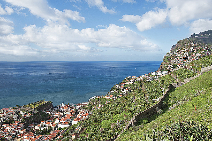 הגנים הבוטניים במדיירה