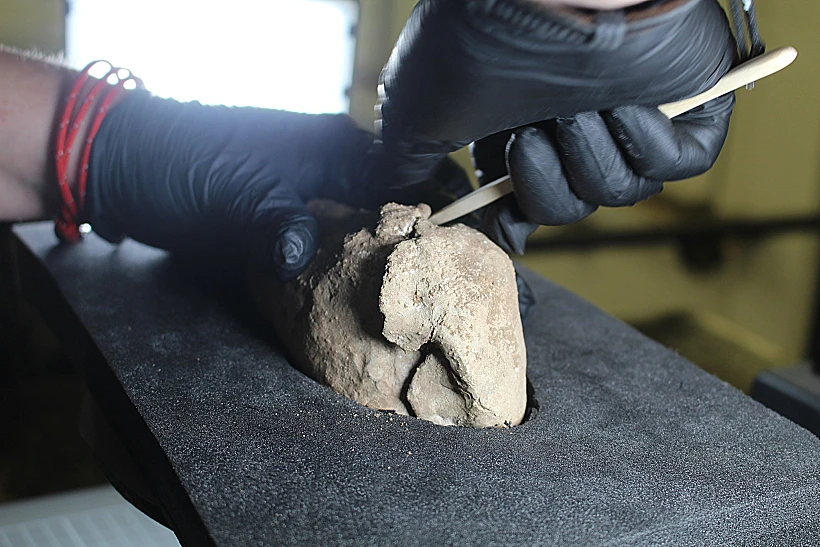 473026167 1238053848322986 132