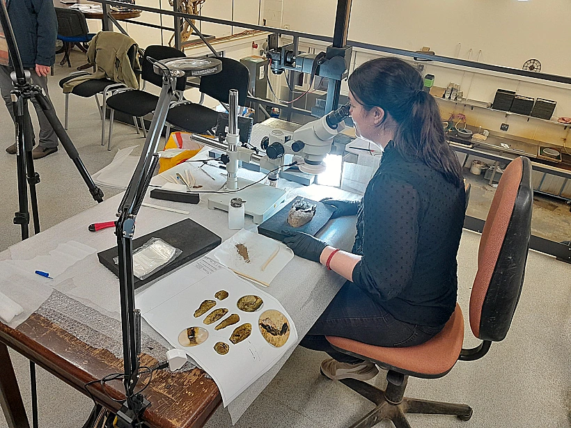 472536731 1238053734989664 776