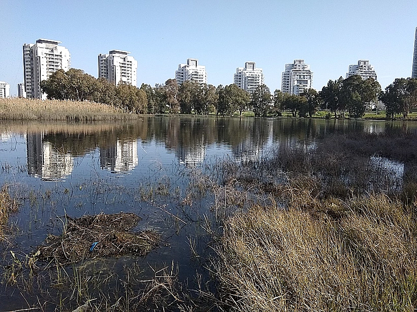 פארק שלולית החורף בנתניה