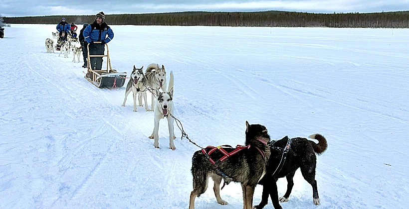 חופשת חורף קסומה בלפלנד פינלנד