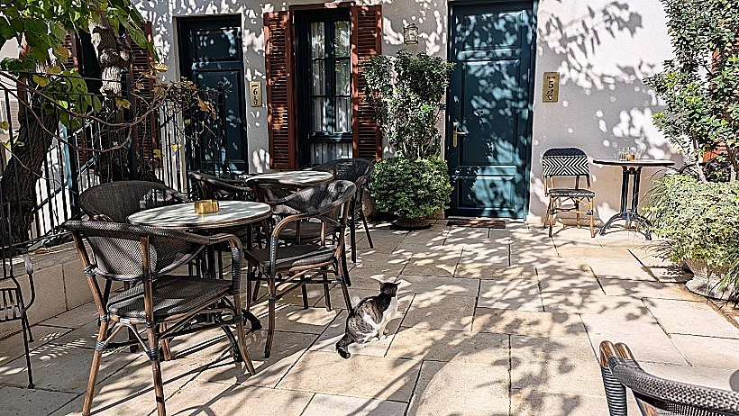 גינת הפטיו של מלון זמארין