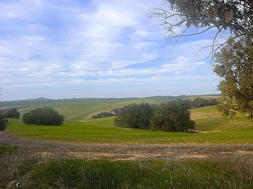 בתרונות רוחמה