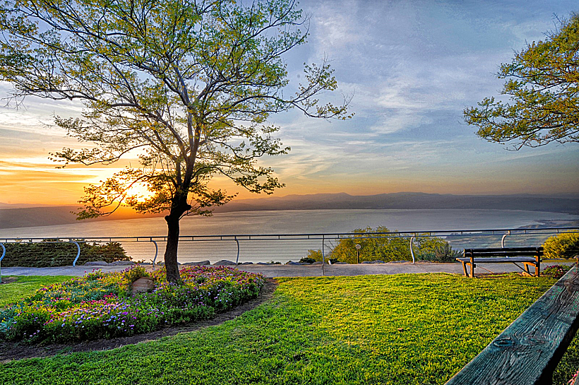 כפר הנופש מצפה השלום