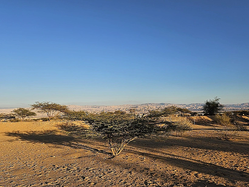 סיור בוטני בנחל גדרון