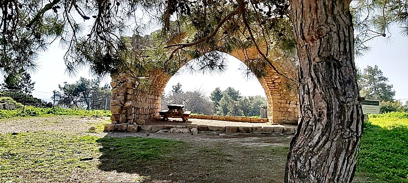 סיורים לטו בשבט בזכרון יעקב