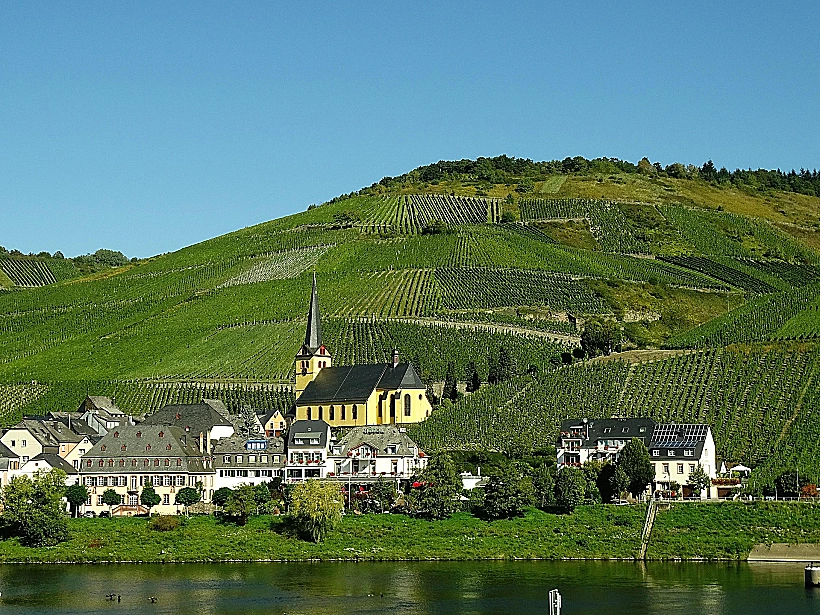 כרמים בעמק המוזל גרמניה