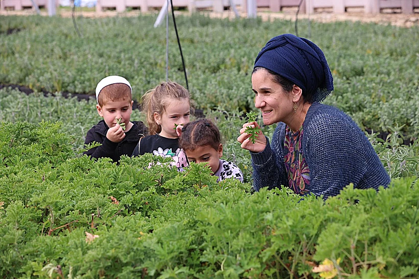 פעילות במשתלות קק"ל טו בשבט