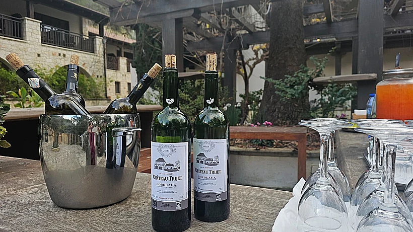 היער הסודי קפריסין