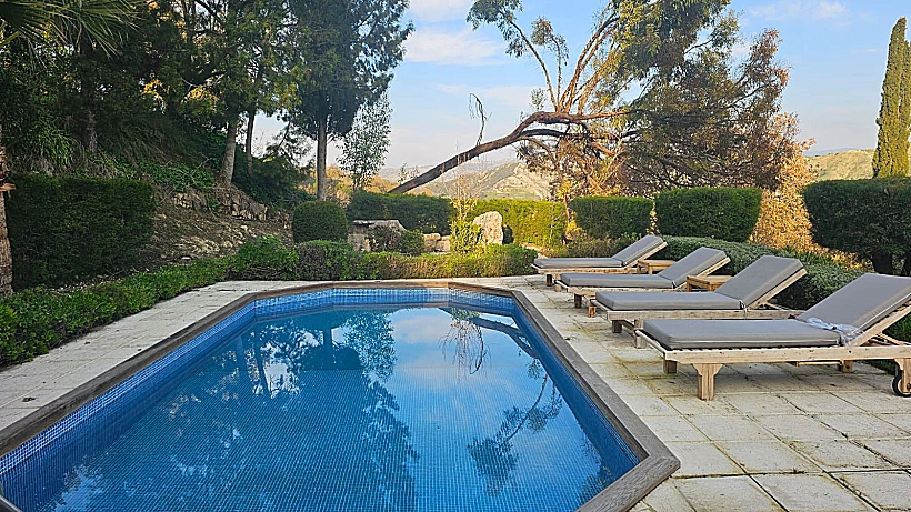 היער הסודי קפריסין