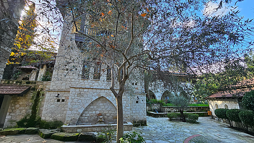 היער הסודי קפריסין