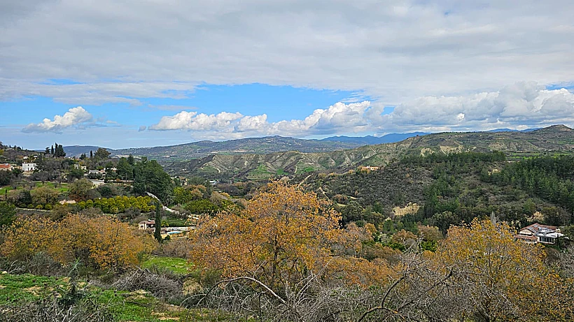 היער הסודי קפריסין