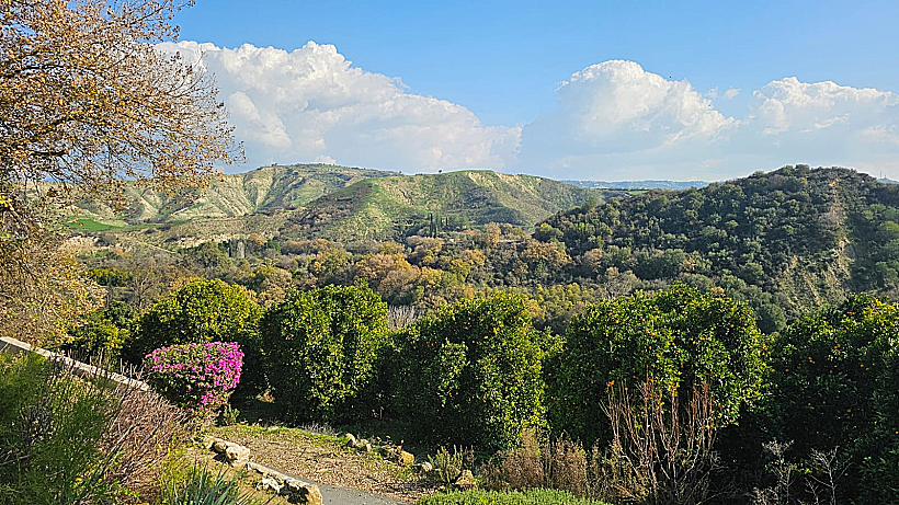 היער הסודי קפריסין