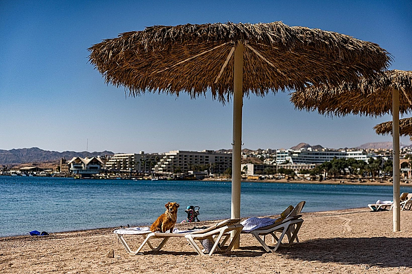 חוף הים באילת