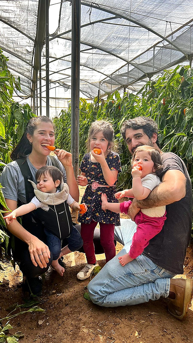 מהחממה לצלחת