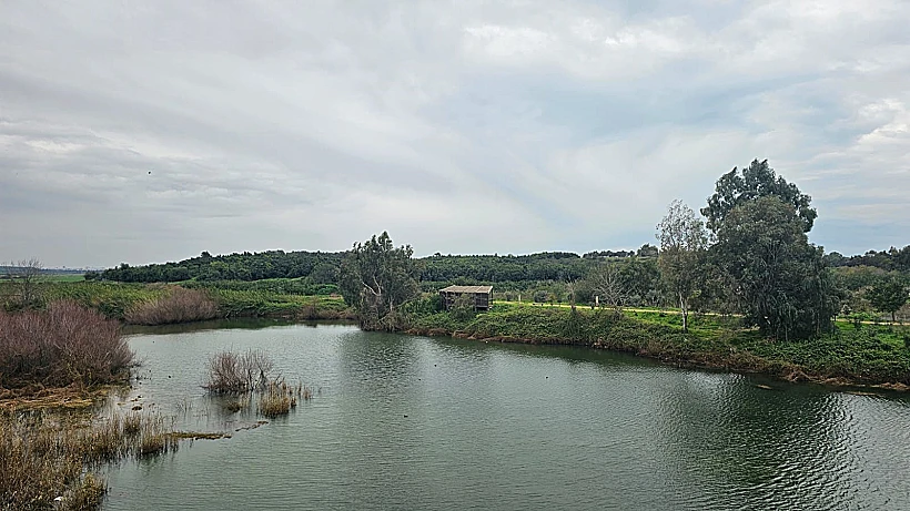 אגמון פולג אגמון אודים