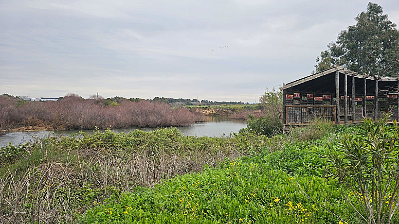 אגמון פולג אגמון אודים