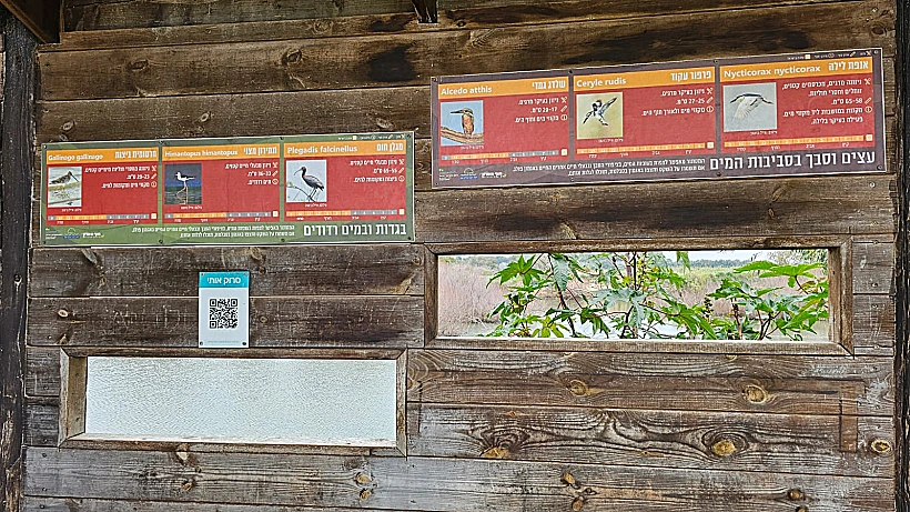 אגמון פולג אגמון אודים