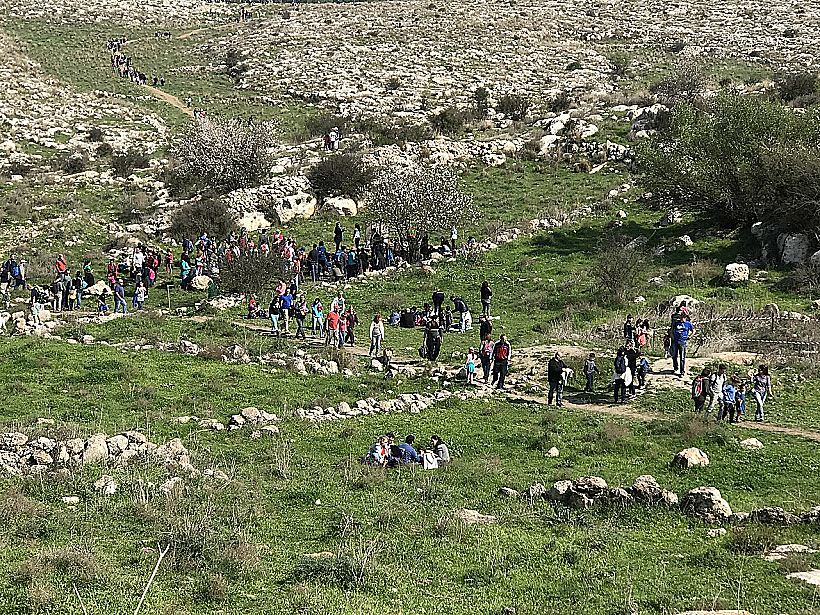 הגבעות הדרומיות במודיעין