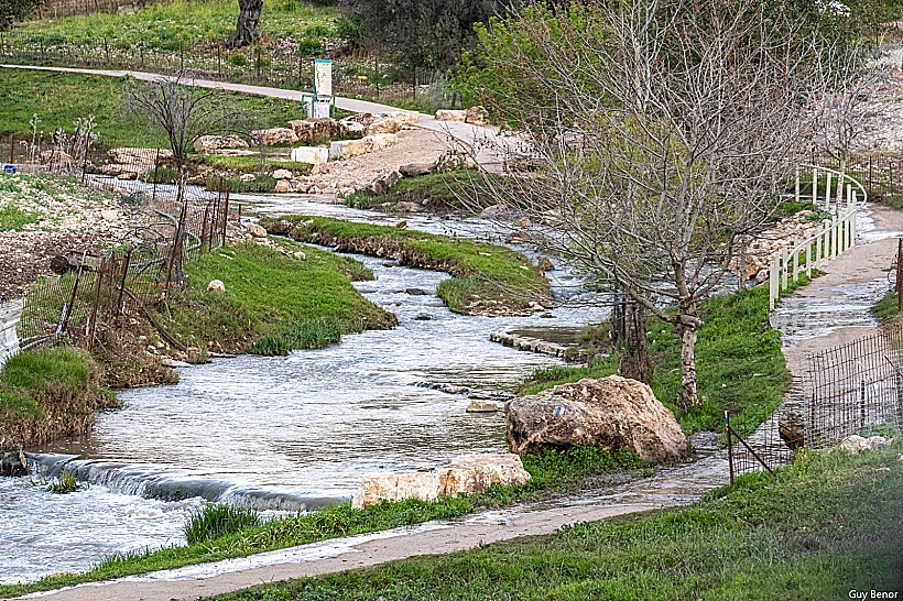 סיורי לילות רמדאן בנחל ציפורי