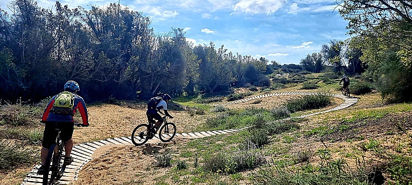 סינגל יד מרדכי