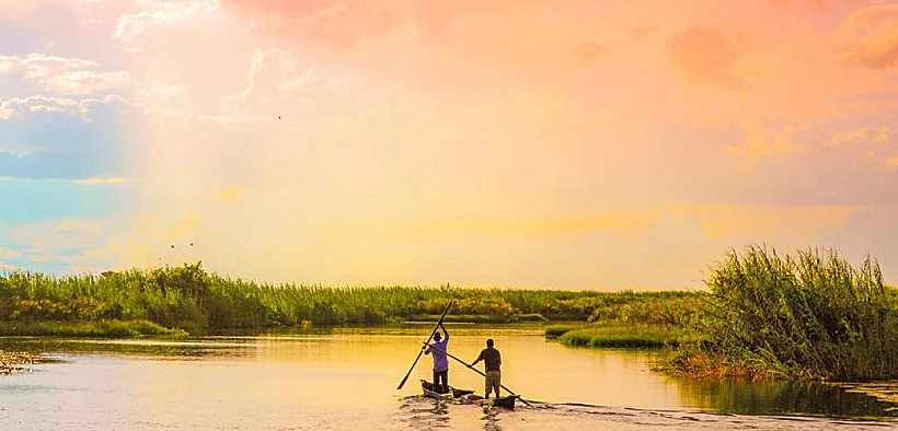 חופשת ספארי-שייט יוקרתית באפריקה