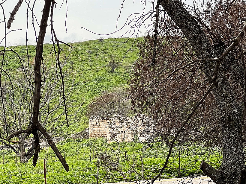 גן לאומי תל קדש