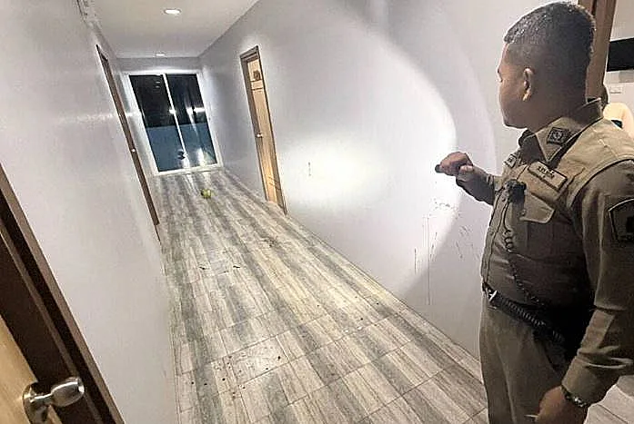 המלון שבו שהו התיירות מפינלנד, שטענו כי ישראלים ניסו לאנוס אותן