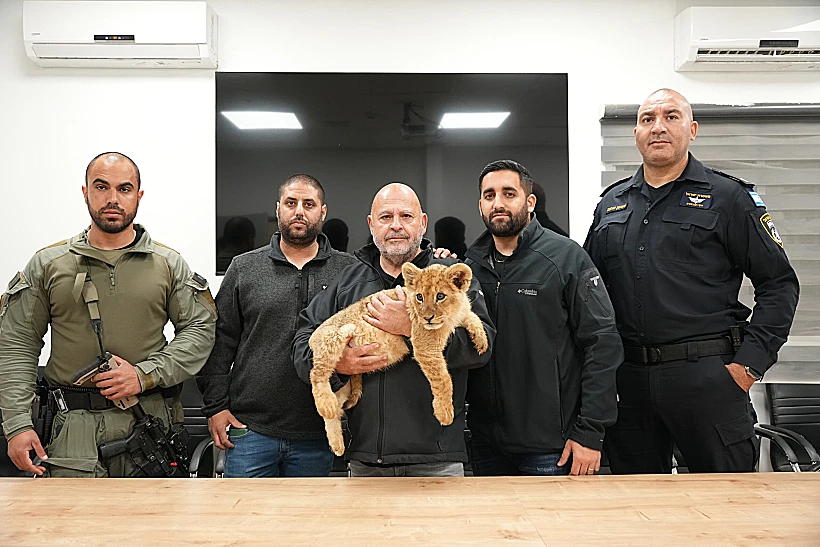 גור האריות שאותר בשטחי הפזורה הבדואית