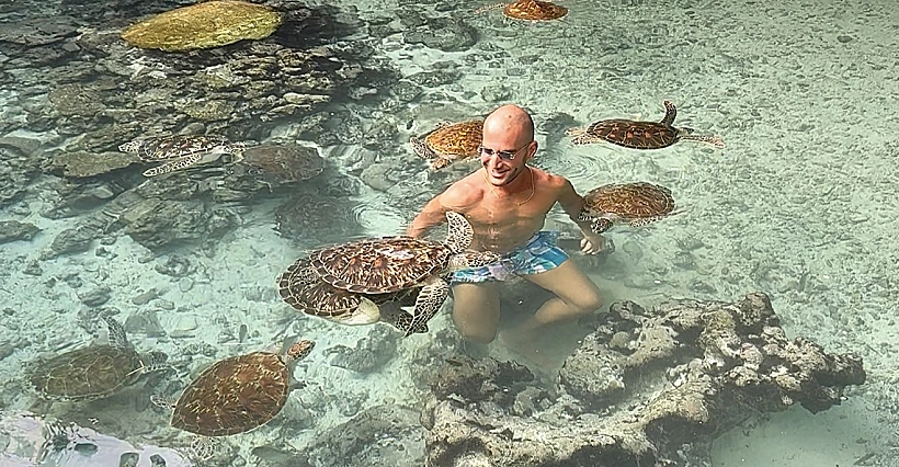 שחיה עם צבים בזנזיבר