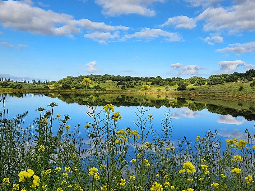 מאגר גלעד/רז רמות מנשה