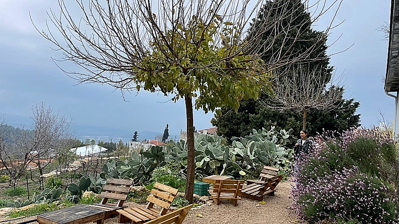 מזקקת הולנדר